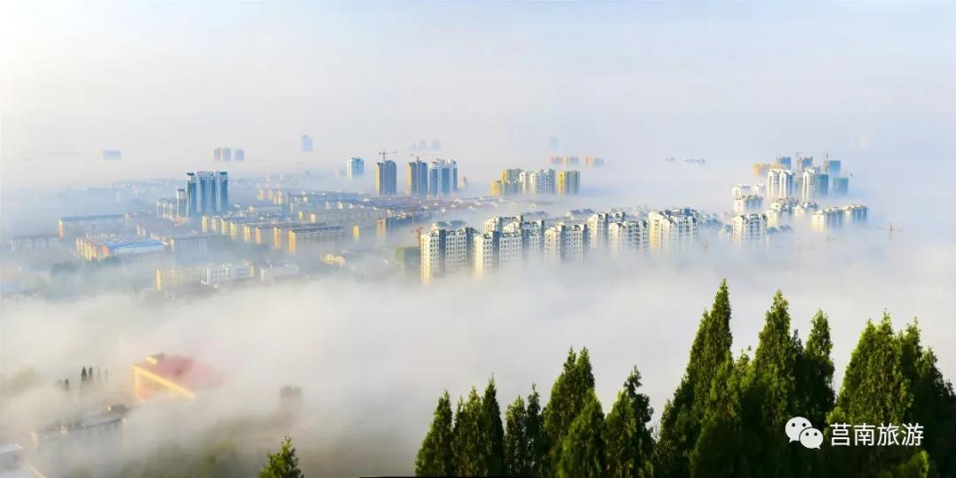 悦享莒南|惊艳了莒南蓝，温暖了遇见