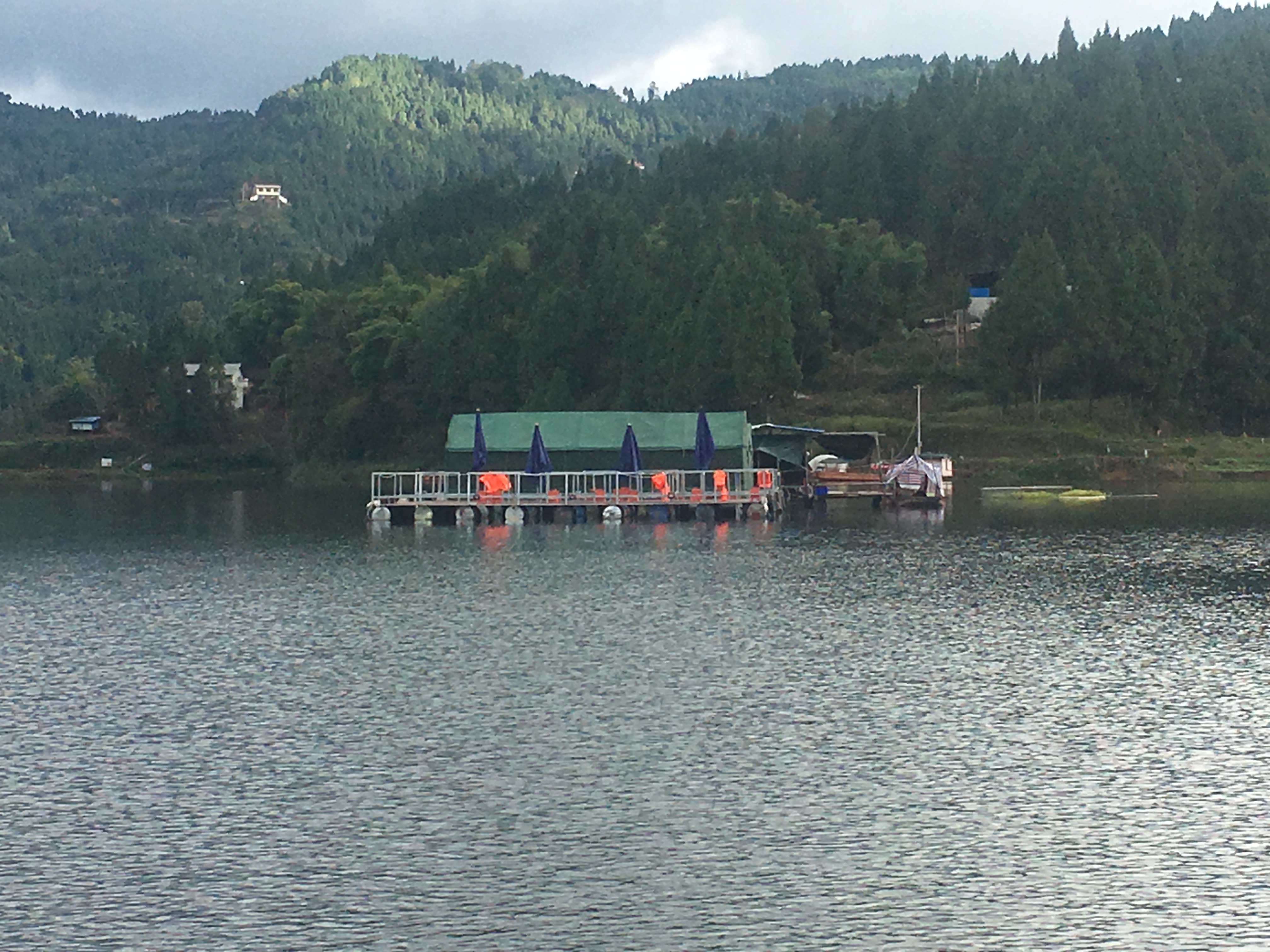 将设施渔业与乡村振兴结合,乡村振兴渔业经济数据对比图