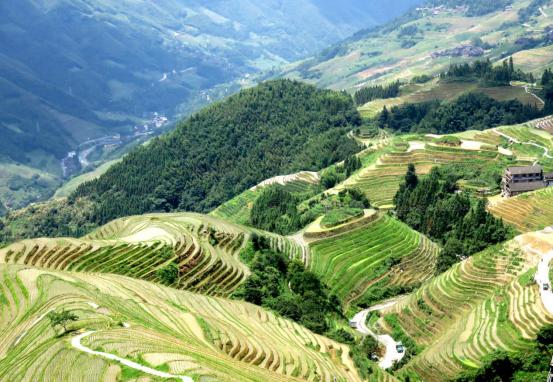 榫欒剨姊敯鏀荤暐鍙嶆淳,榫欒剨姊敯鎬紓