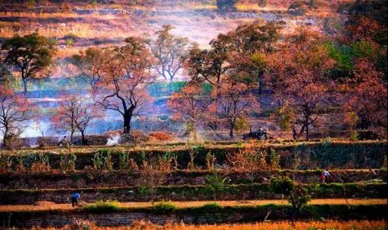 潍坊这5条颜值爆表的自驾线路，藏着美景无数，每一公里都美到极致！