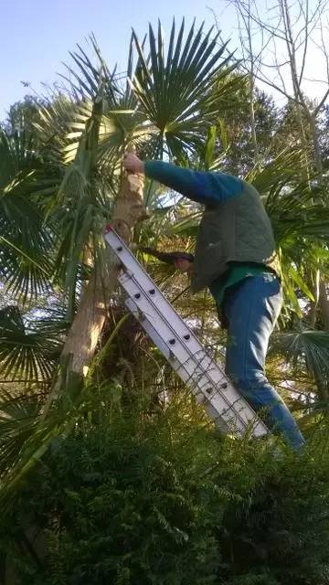 英国家庭花园建造,英国夫妇22年打造梦幻花园