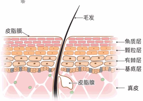 宝宝皮肤进入“换季模式”，国家儿童医学中心北京儿童医院皮肤科助您打赢疫期护肤保卫战
