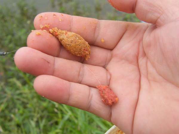 传统钓小杂鱼闹窝怎么办,应对小杂鱼闹钩方法技巧