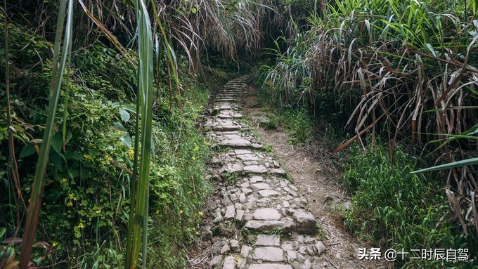 探寻最后的香格里拉稻城亚丁之秋,探索香格里拉最深处