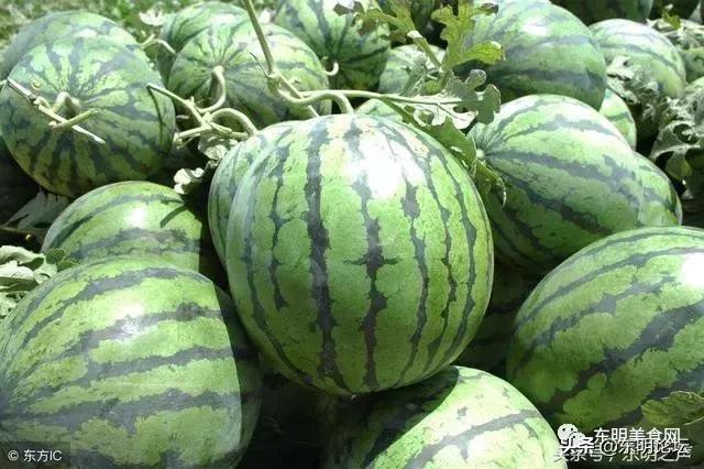 菏泽特产水果有哪些,菏泽十大特产是什么水果