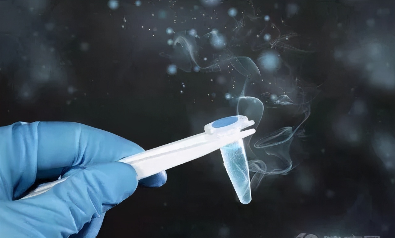 精子畸形率高是否容易生畸形儿,精子畸形率98%怀孕了胎儿会畸形吗