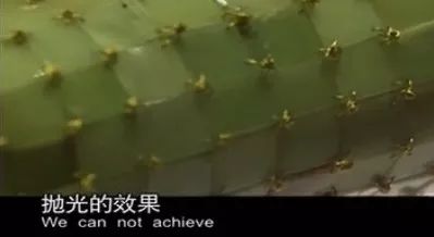 颤抖吧凡人全文,颤抖吧凡人的视频