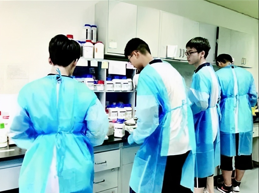 自然科学实验与创新课题,生态课题研究方案