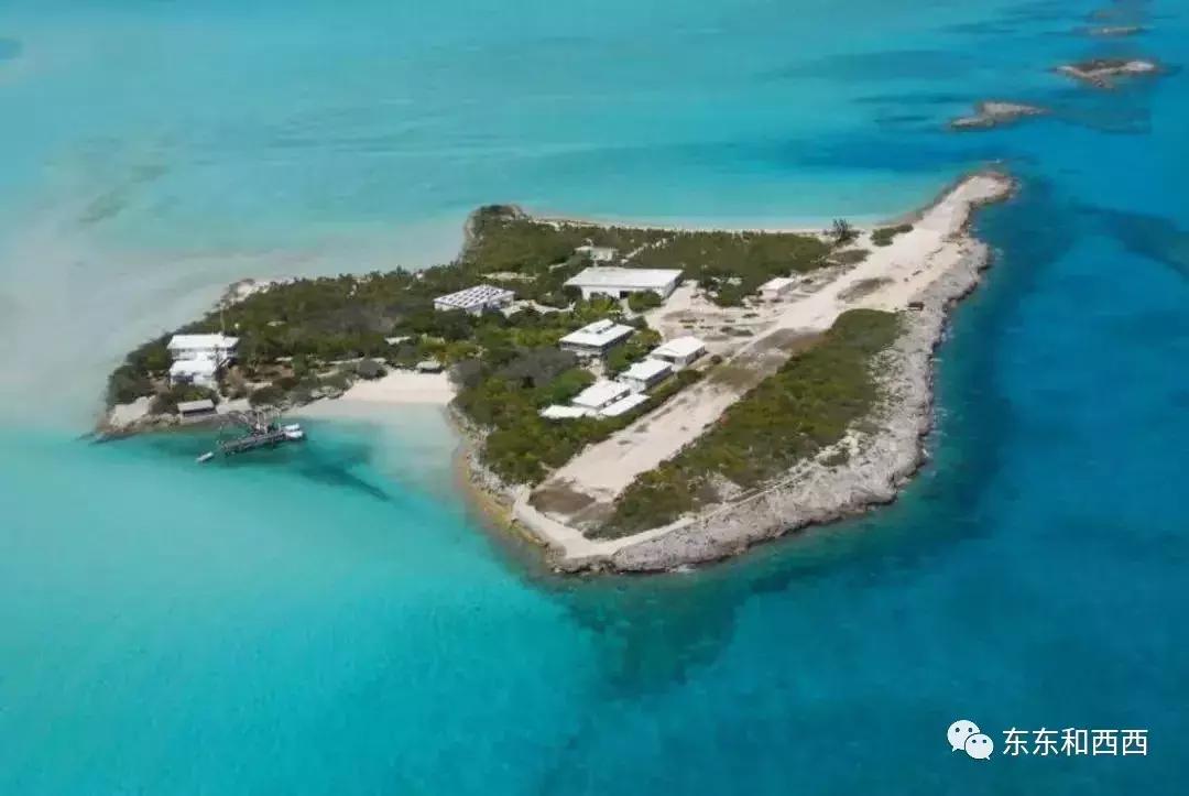 尼古拉斯凯奇的新恋情,尼古拉斯凯奇败家之王