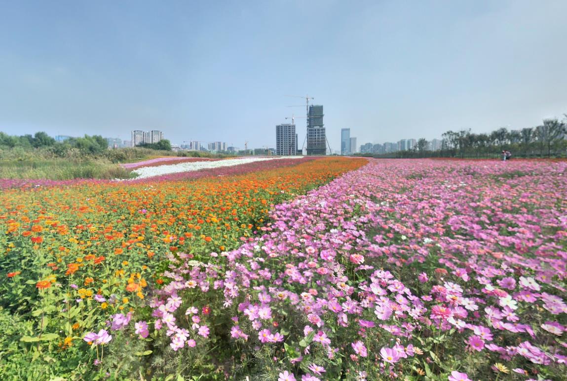 中国百强镇无锡有几个,无锡中国百强区