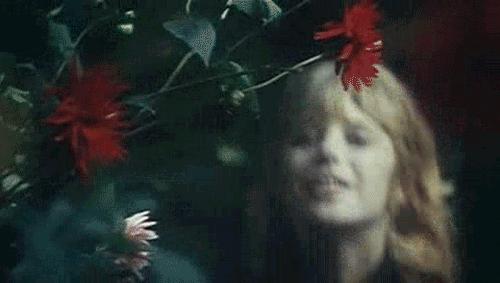 2019年的周迅,diss明星完整版