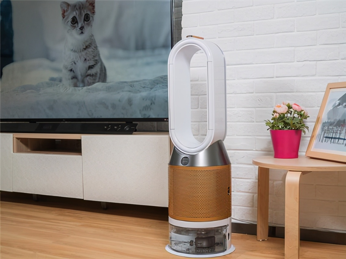 戴森空气净化器如何保证室内恒温,如何选择戴森空气净化器