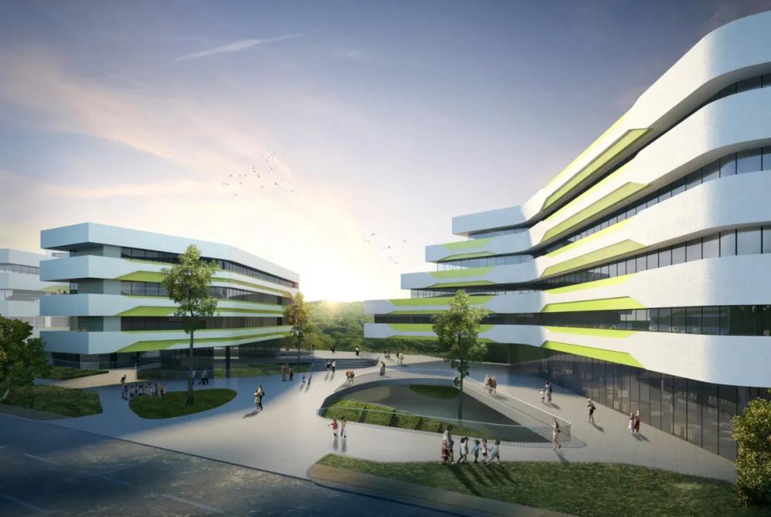 南沙教育资源有多好,南沙教育水平怎么样