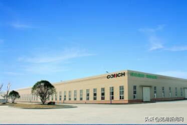 海螺集团为什么能跻身世界500强,海螺哪年进入世界500强