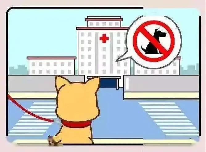 江北区养大型犬,江北宠物基地