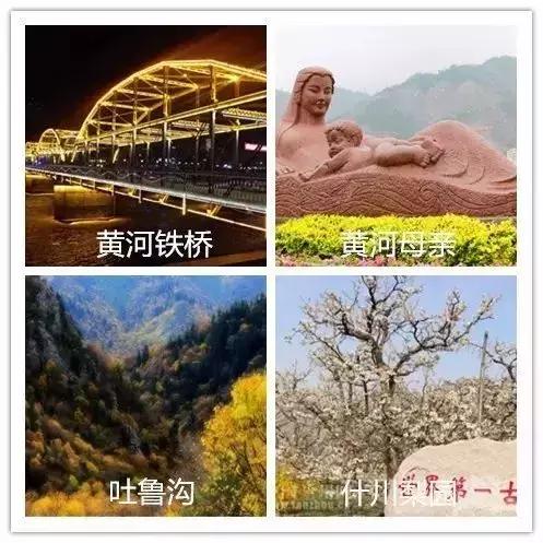 郑州飞哪里的机票最便宜五月,机票白菜价29元