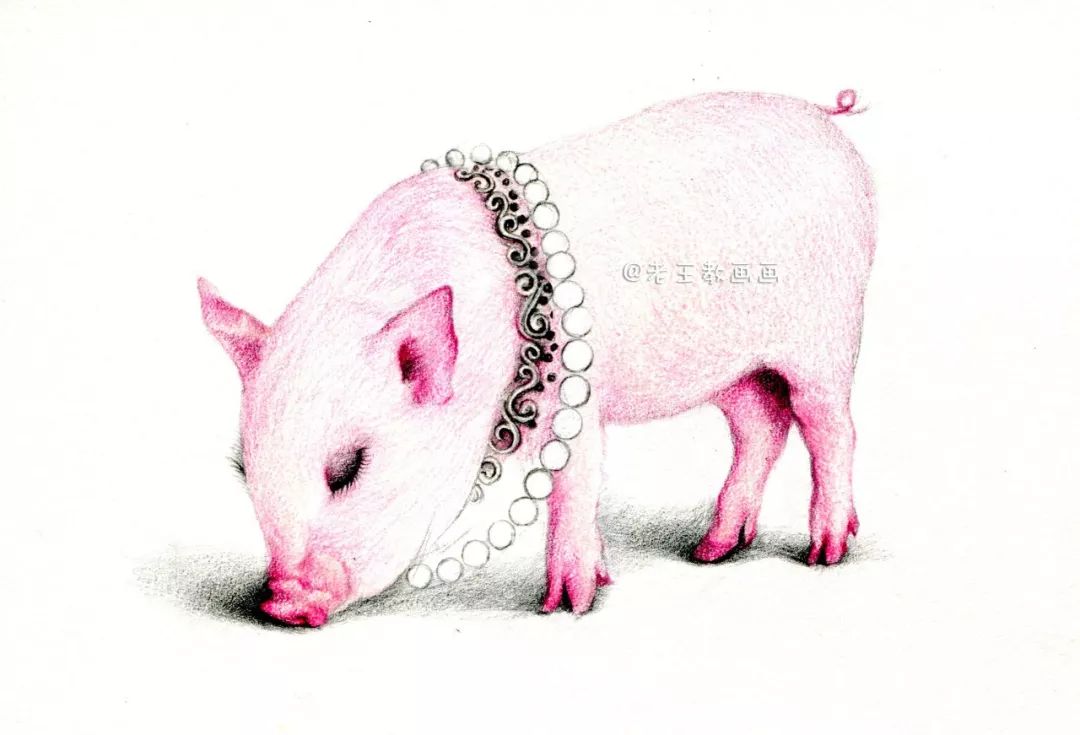 猪年画猪,猪年怎么画