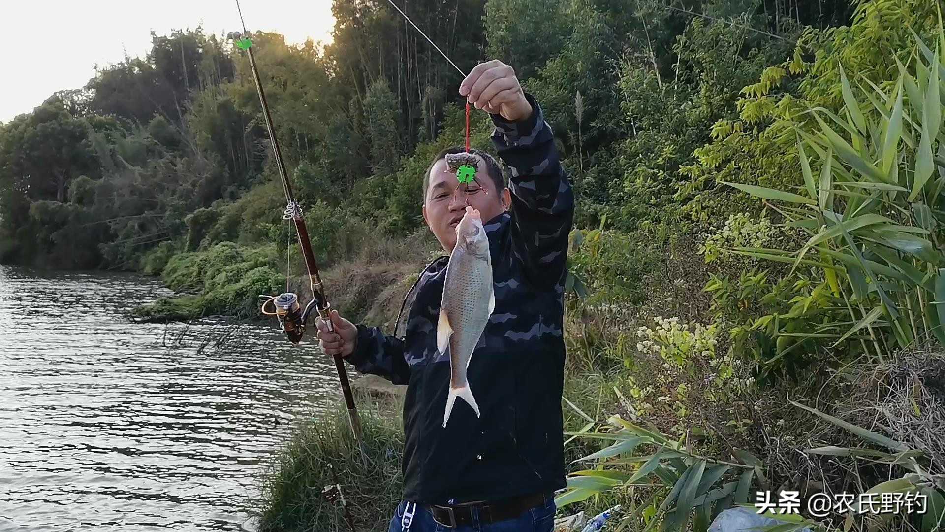 窝料野钓专用花生饼,翻板钩用的花生饼怎样制作