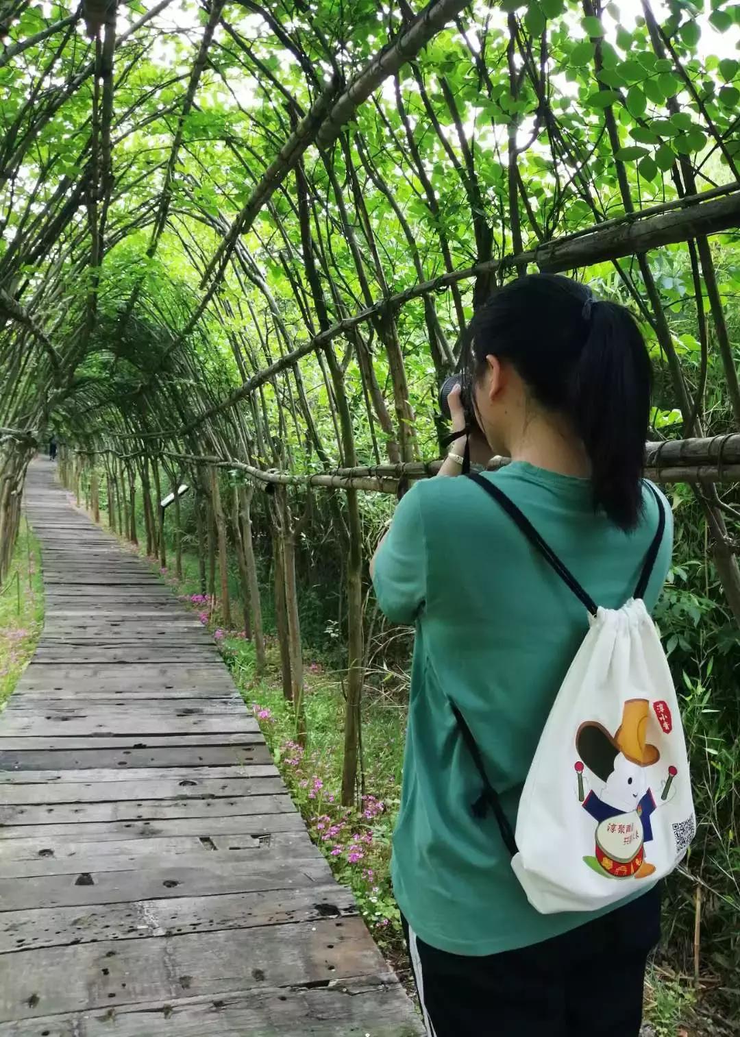 来，跟着“新高淳人”看高淳～