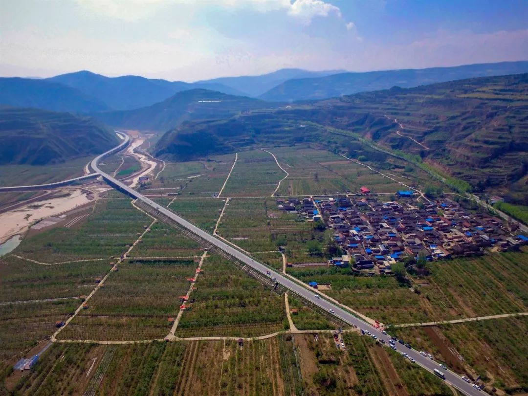 陇南市苹果代言,陇南礼县苹果代言