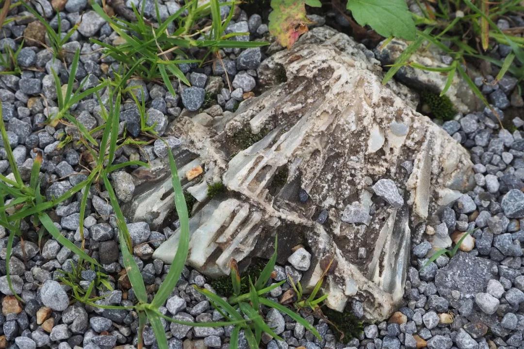 宝石中国红,国宝级天然宝石