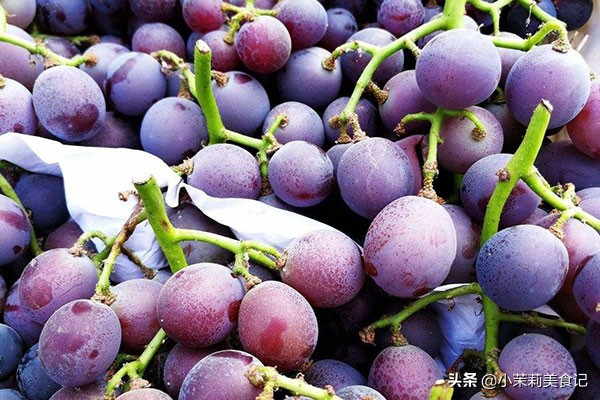 8月葡萄香，吃不完的葡萄，教你3招，再也不用担心葡萄坏掉