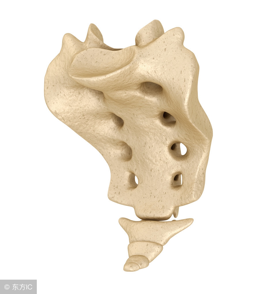 产后尾骨疼如何缓解,产后尾骨疼痛怎么康复