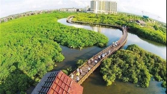 海南岛是我国第一大岛屿吗,海南岛是中国最南端的省份