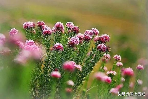 晋城有个啥山,晋城有什么山有名