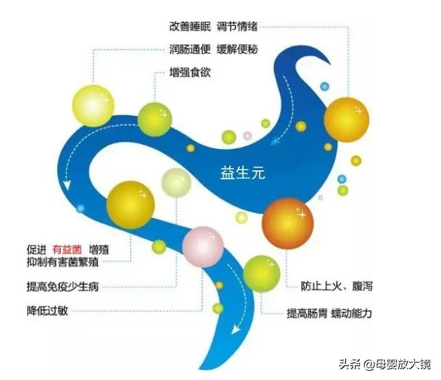 益生菌千万别这么吃,益生菌别乱吃会长胖吗