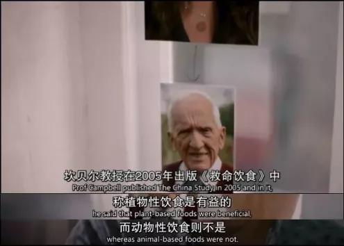 好喝又营养的燕麦奶,无糖燕麦奶