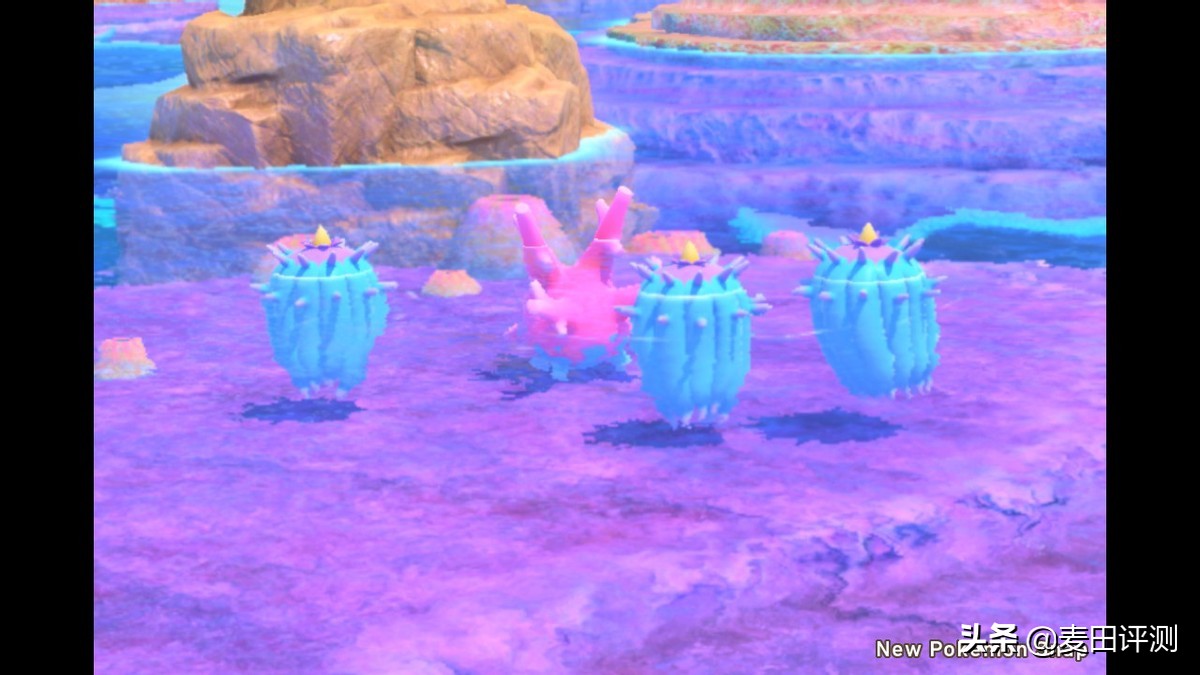 新宝可梦随乐拍switch,宝可梦随乐拍测评