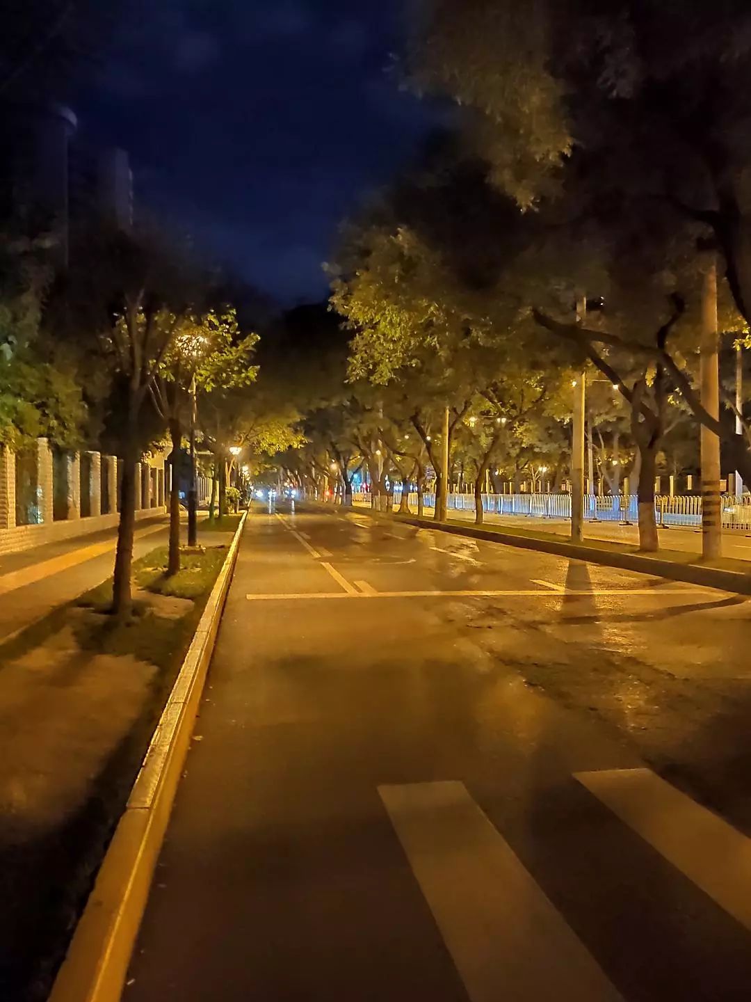 每天早起工作的人,每天早起的人性格