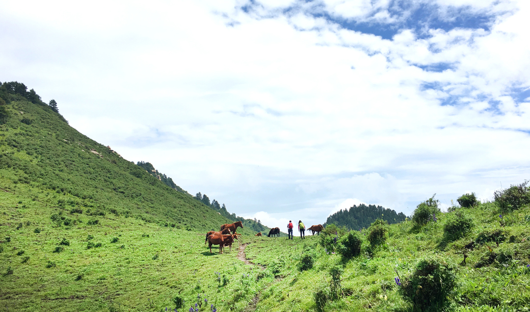 国内最美草原旅游攻略,驼梁旅游全攻略