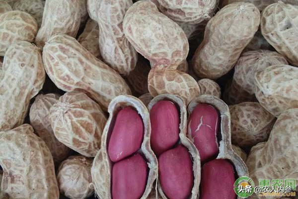 菜籽油花生油葵花籽油多少钱一斤,葵花籽菜籽油哪个价格高