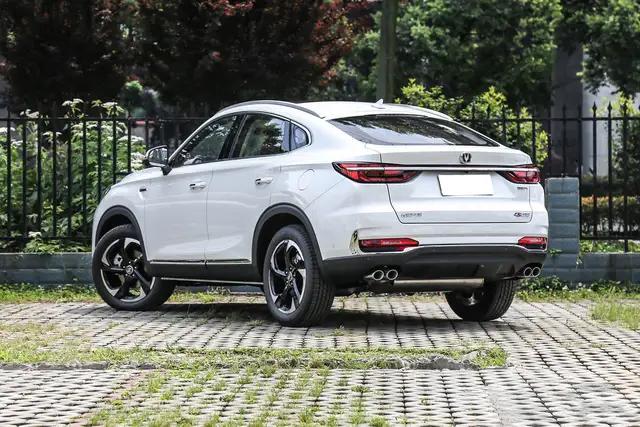 终于没白等,终于没有白等