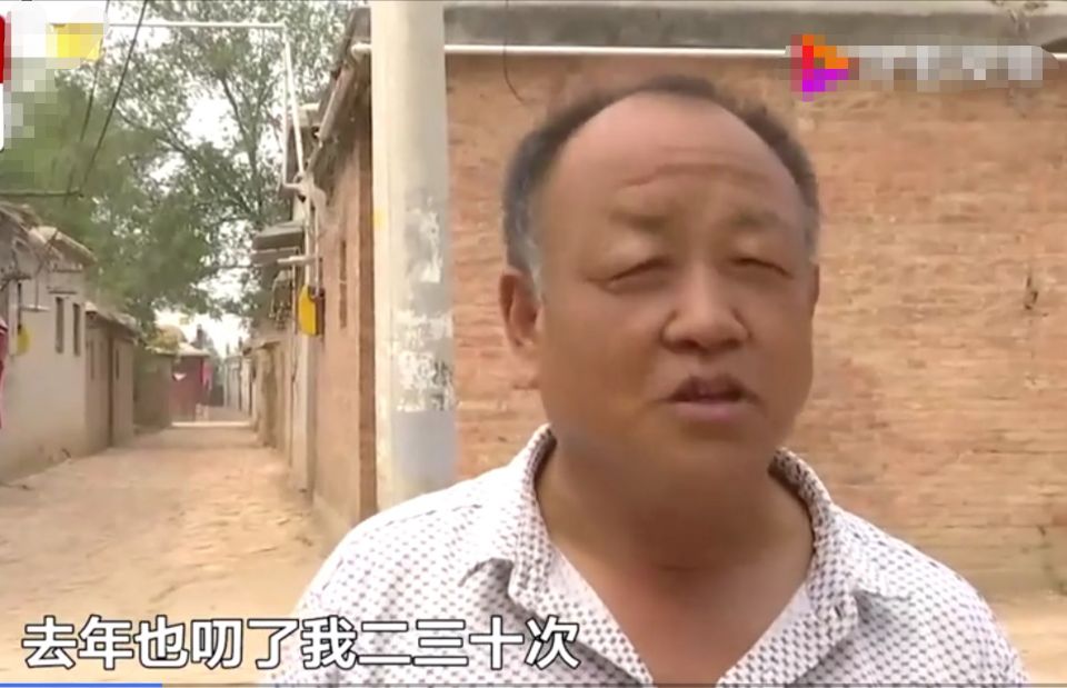 平头哥蜜獾复仇,蜜獾平头哥复仇