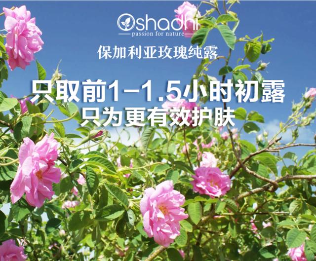 什么大牌精油护肤好用,明星推荐精油护肤平民