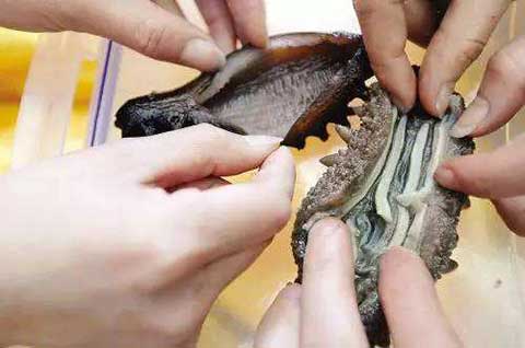 自助餐海参是人造的吗,海参有不能吃的品种吗