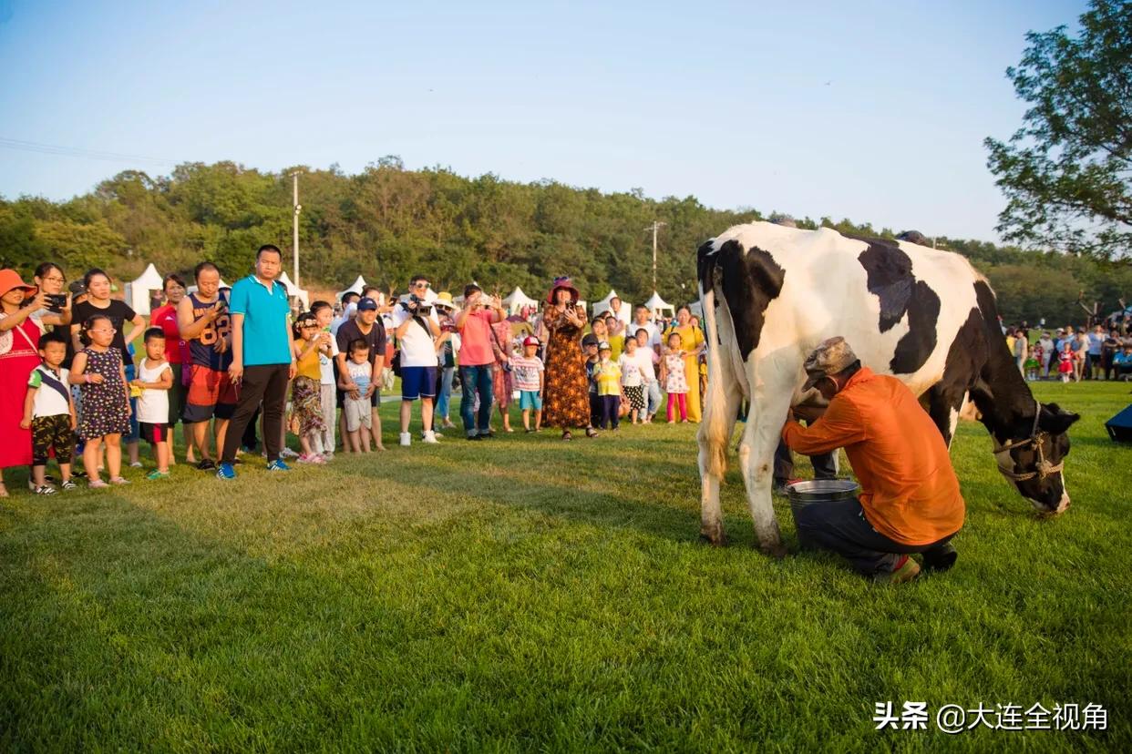 大连三观寰牧场坐车攻略,大连三寰牧场草原视频