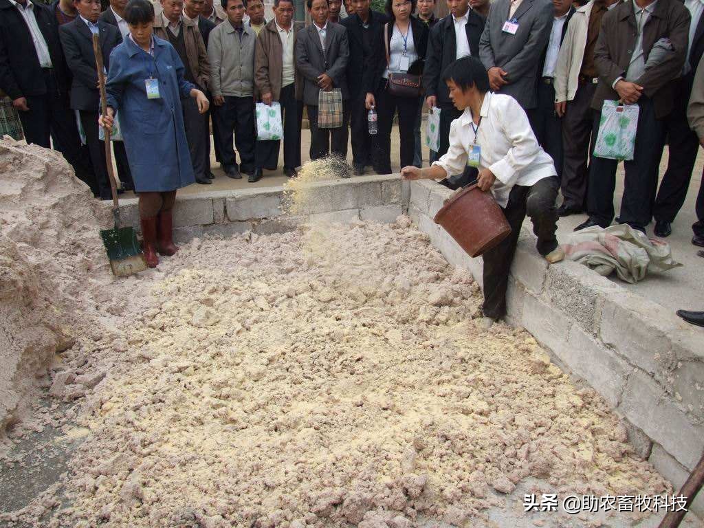 农村自制低成本养猪饲料配方,自制猪发酵饲料的最佳配方