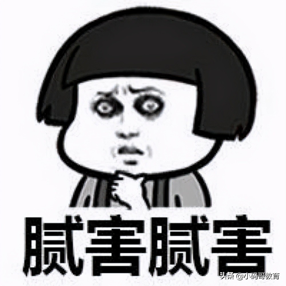 小码哥java首期大神班,小码哥讲编程ai