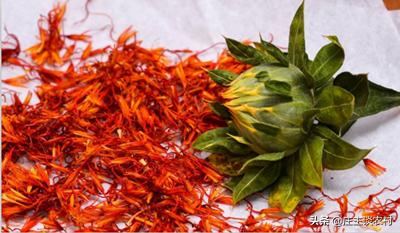 世界上最贵的几种食材有哪些,世界上最贵最顶级的食材