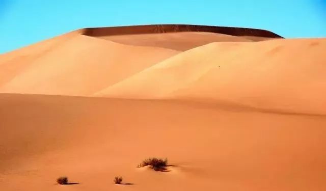 你是什么体质对照一下,你是哪种体质对照一下就知道