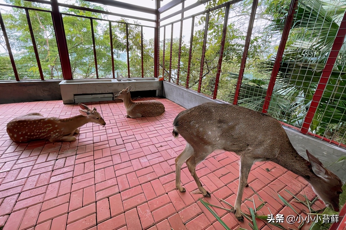三亚吃住行,三亚自由行海边住宿攻略