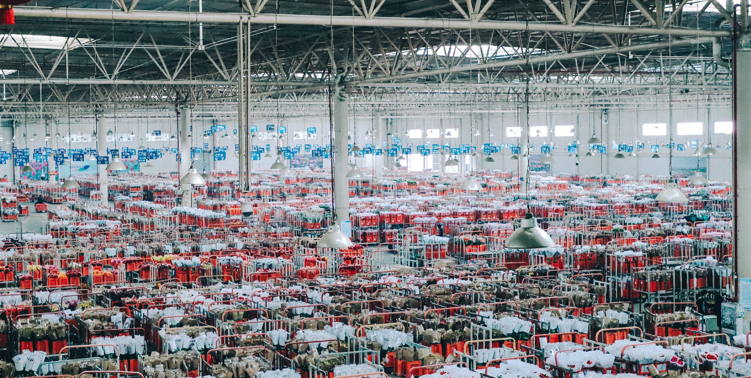 今年春节花市行情怎样,2023年花市行情预测