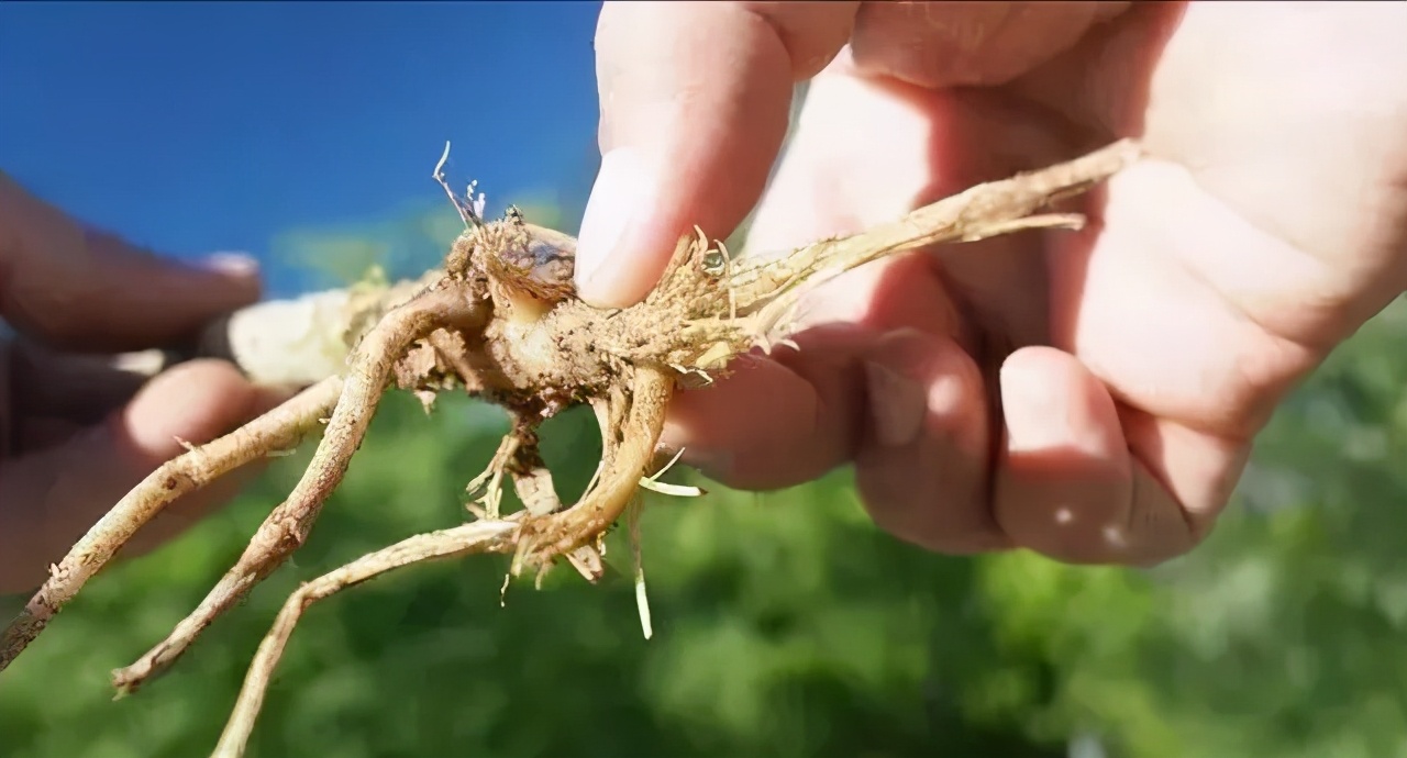 天气转凉疾病高发,天气转凉注意事项及解决方法