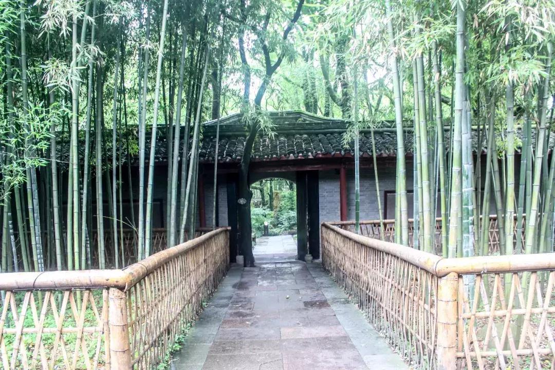 453岁的天一阁，八成的宁波人没有见过它的这一面