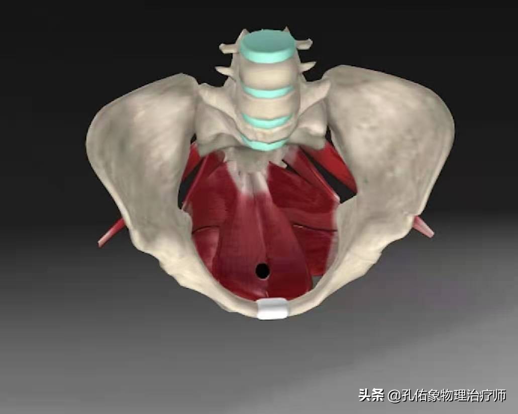 女性漏尿很严重是什么原因造成的,女性漏尿的原因及解决办法