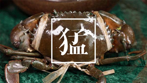 集渔周年庆178套餐,集渔8周年